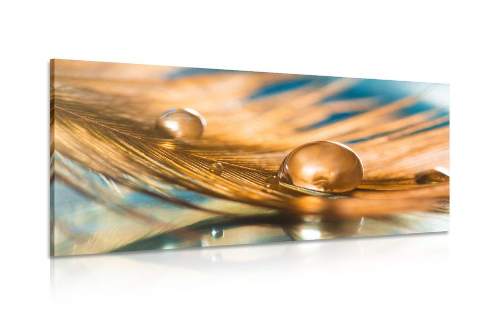 Obraz kvapka vody na zlatom pierku