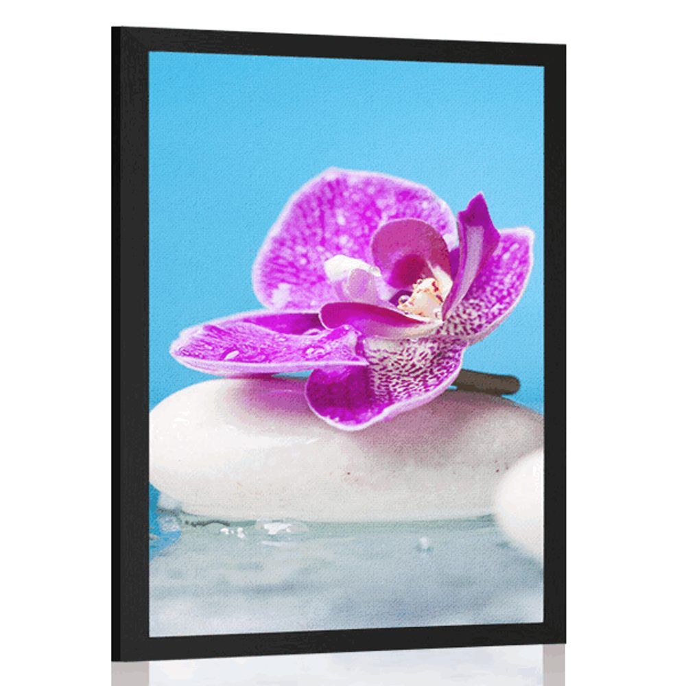 Plagát orchidea a Zen kamene - 30x45 white