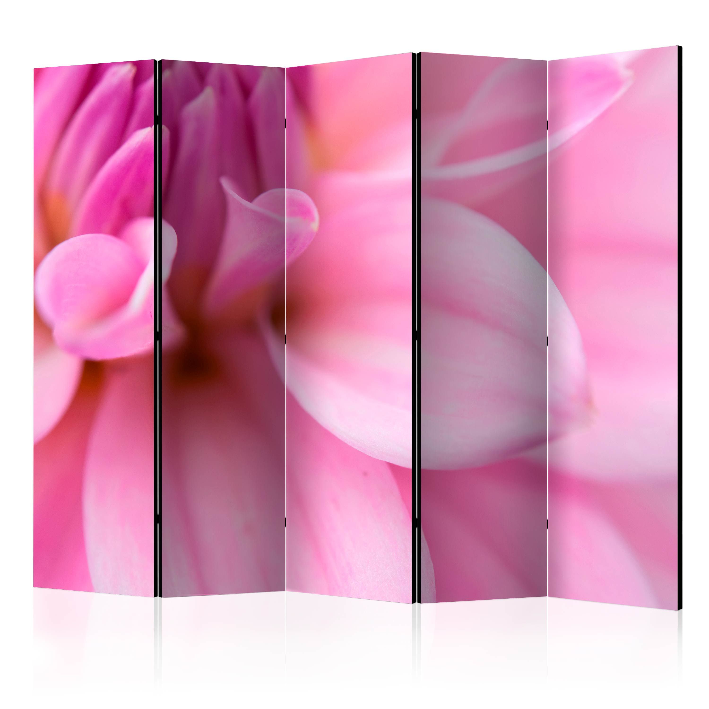 Artgeist Paraván - Flower petals - dahlia [Room Dividers]