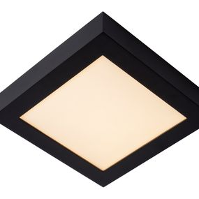 Kúpeľňové svietidlo LUCIDE BRICE-LED black 28117/22/30