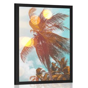 Plagát lúče slnka medzi palmami - 40x60 black