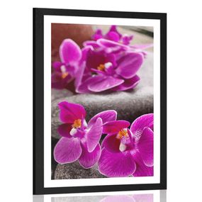 Plagát s paspartou nádherná orchidea a Zen kamene - 30x45 black