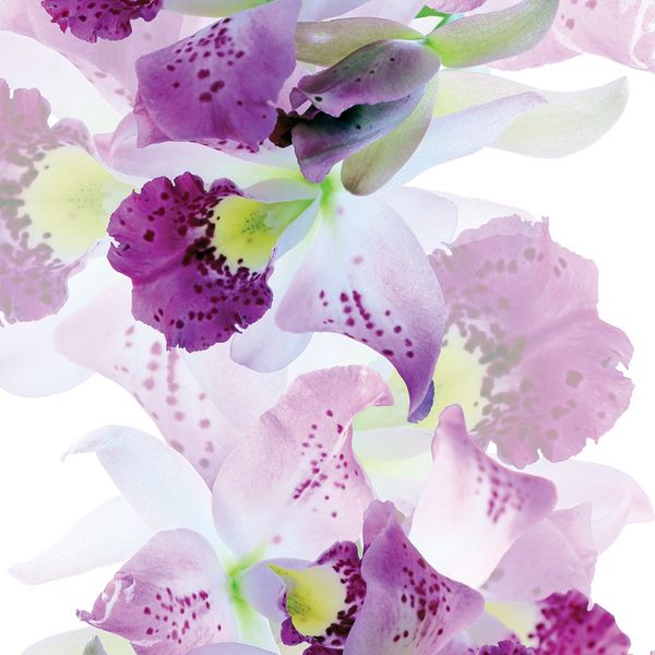 FCS L 7523 AG Design textilný foto záves obrazový Flowers - kvety FCSL 7523, veľkosť 140 x 245 cm