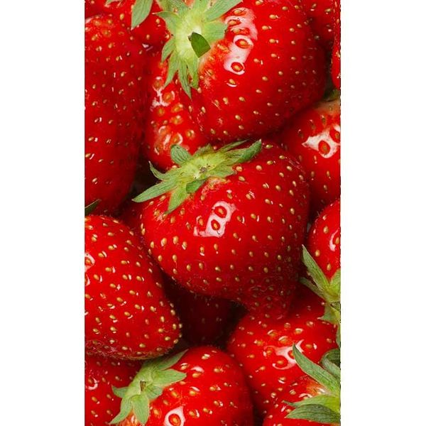 MS-2-0241 Vliesová obrazová fototapeta Strawberry, veľkosť 150 x 250 cm