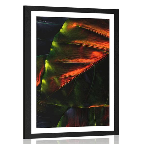 Plagát s paspartou tropické palmové listy - 30x45 silver