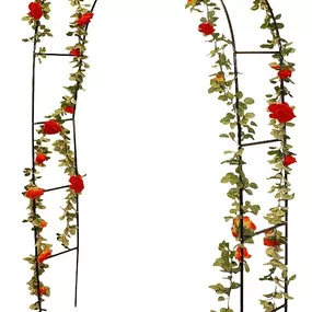 PROGARDEN Zahradní oblouk na růže a popínavé rostliny 140 x 240 cm KO-X61250000