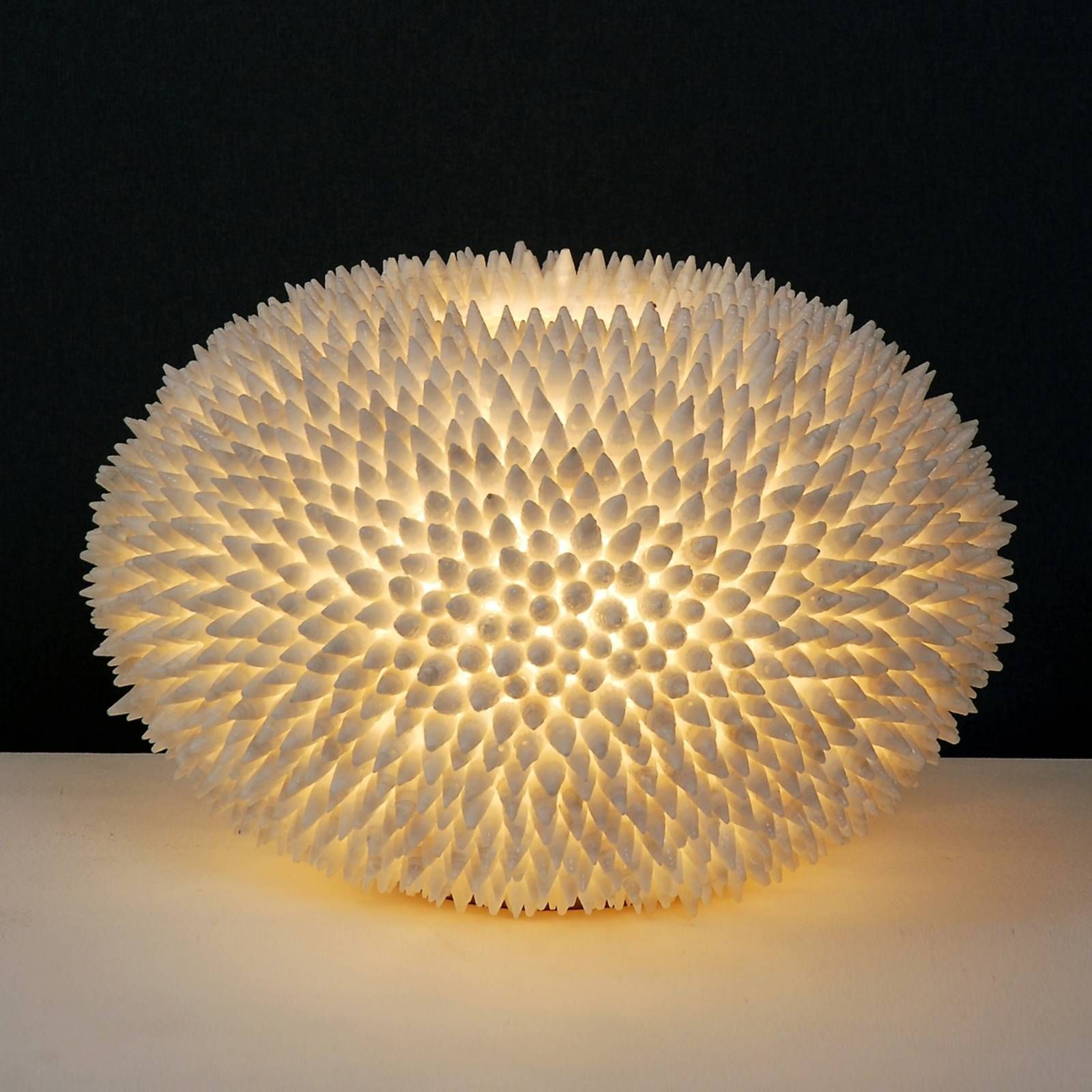 Holländer Stolná lampa Sirena Bianco, Obývacia izba / jedáleň, sklolaminát, mušle, E27, 40W, K: 30cm