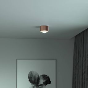 Top Light Puk! 120 One LED svetlá šošovka matná medená, Obývacia izba / jedáleň, hliníkový zinok, sklo, 10W, K: 6.4cm