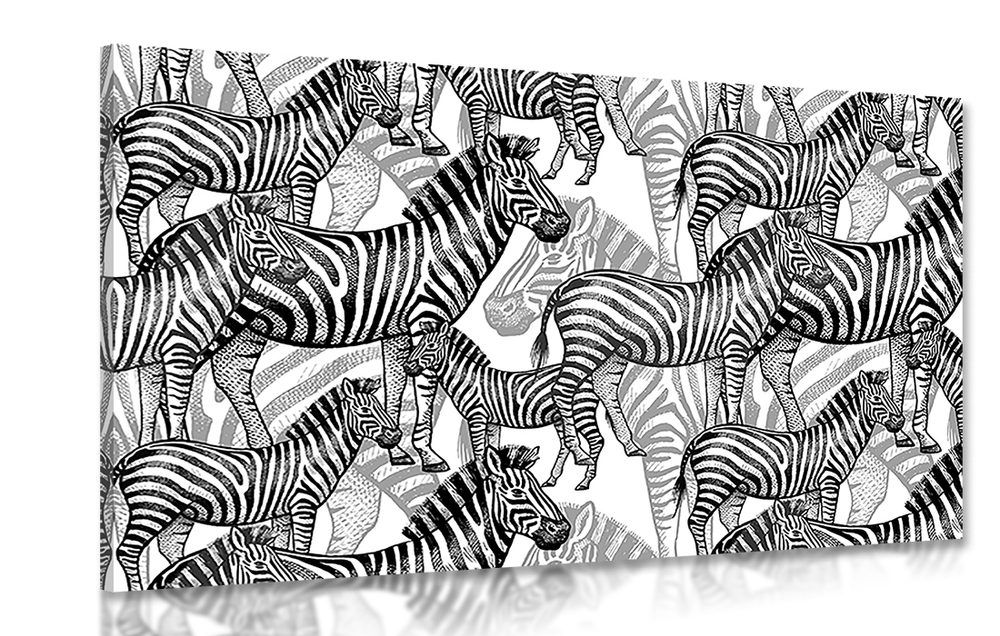 Obraz ríša zebier v čiernobielom