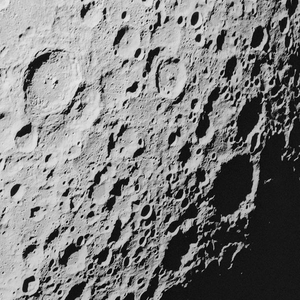 KT-D1020 Okrúhla samolepiace obrazová fototapeta Komar Luna, veľkosť priemer 128 cm