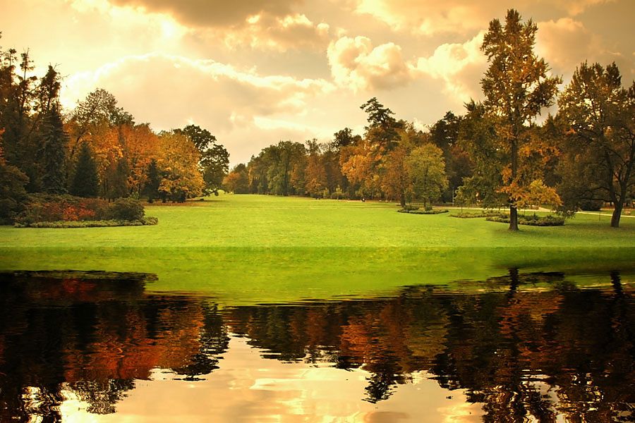 Fototapeta Krajinky - Park pri vode 321 - samolepiaca na stenu