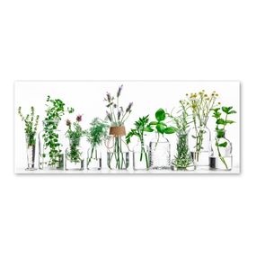 Obraz Styler Glasspik Herbs, 30 × 80 cm