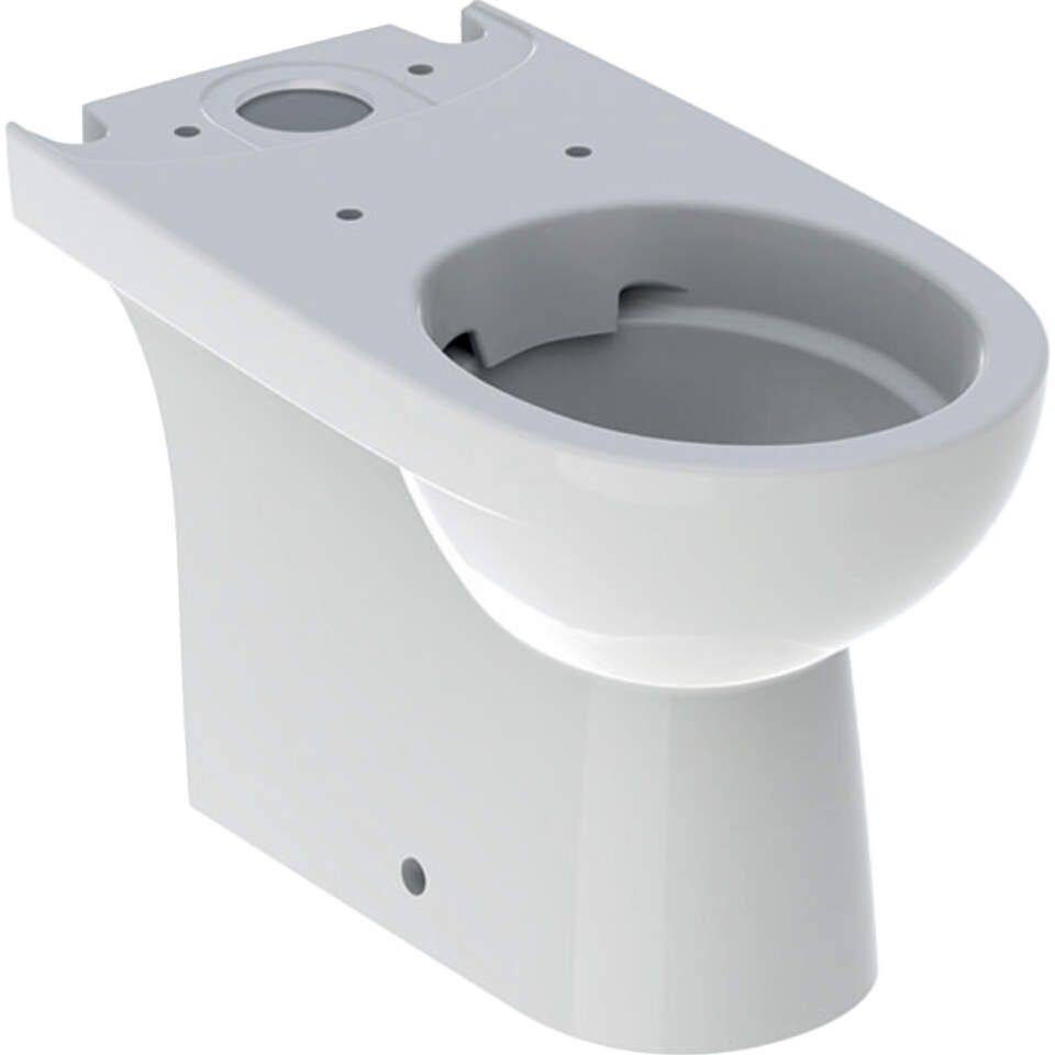 Geberit Selnova - Stojacie WC pre splachovaciu nádržku umiestnenú na WC mise, s hlbokým splachovaním, Rimfree 500.488.01.1