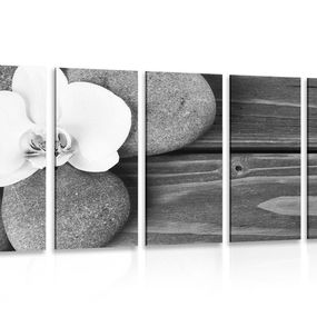 5-dielny obraz wellness kamene a orchidea na drevenom pozadí v čiernobielom prevedení
