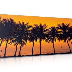 Obraz západ slnka nad palmami - 120x60