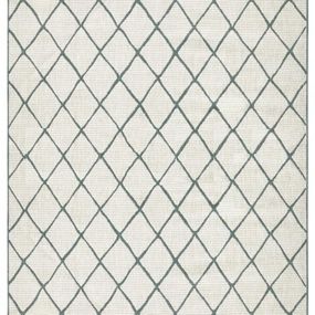 NORTHRUGS - Hanse Home koberce Kusový koberec Twin-Wendeteppiche 103117 grün creme - 160x230 cm