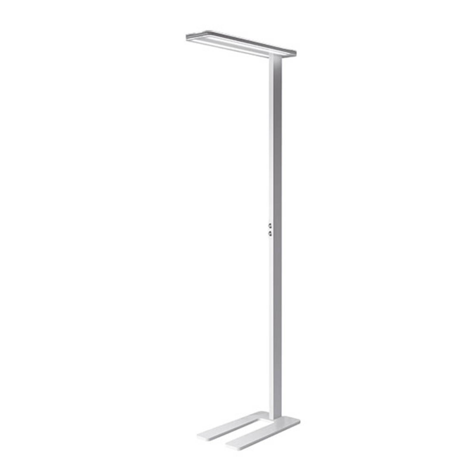 LTS Stojaca LED lampa Trentino II stmievateľná biela, Pracovňa / Kancelária, akryl, hliník, oceľ, 102W, P: 65 cm, L: 16 cm, K: 192.7cm