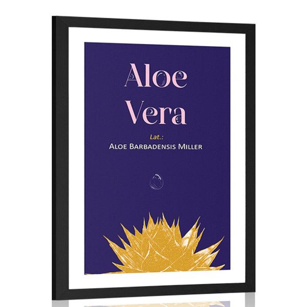 Plagát s paspartou a nápisom Aloe Vera - 40x60 silver