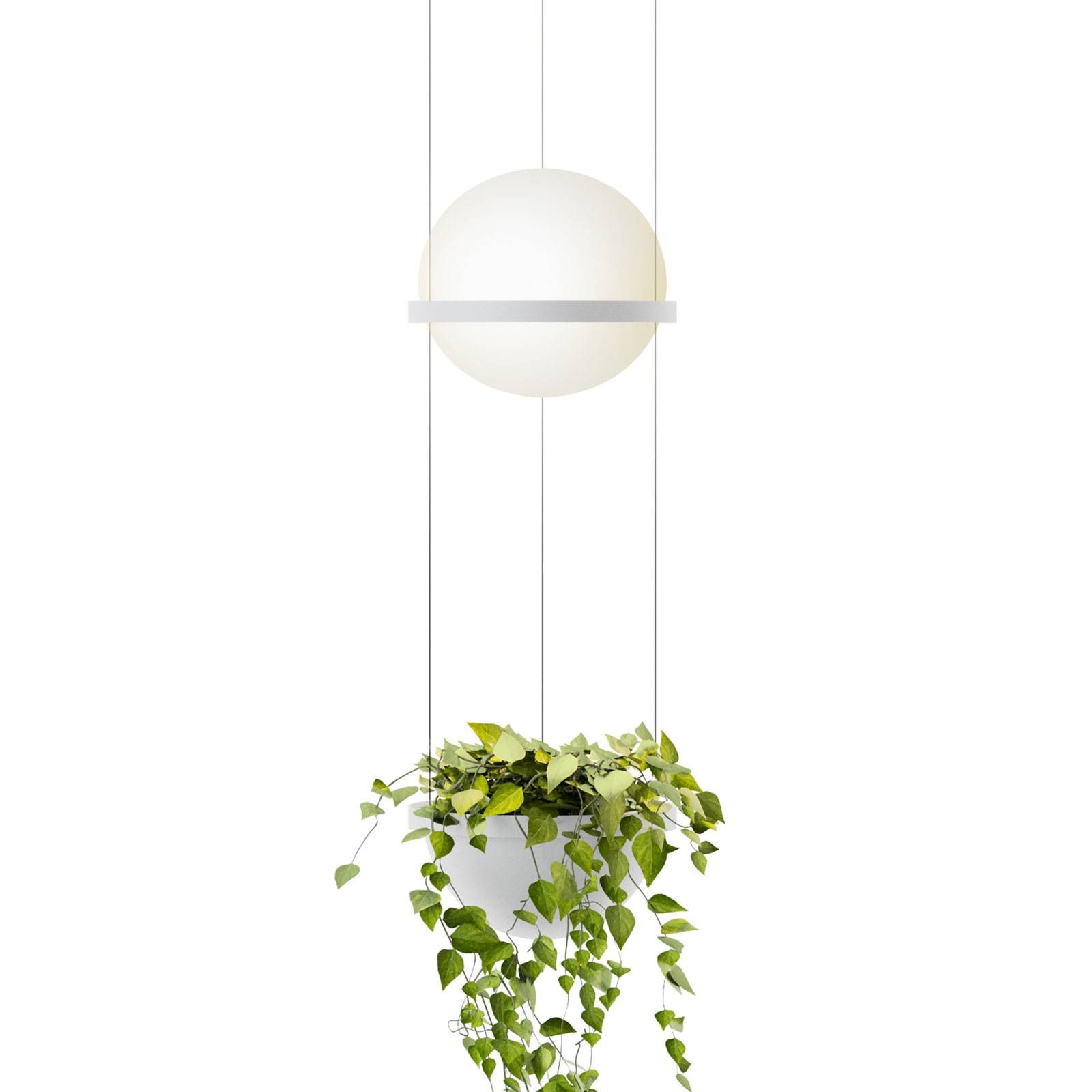 Vibia Palma 3724 závesná lampa, kvetináč, biela, Obývacia izba / jedáleň, oceľ, hliník, sklo, 4.6W, Energialuokka: F