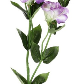 Umelý kvet Eustoma 80 cm, fialová