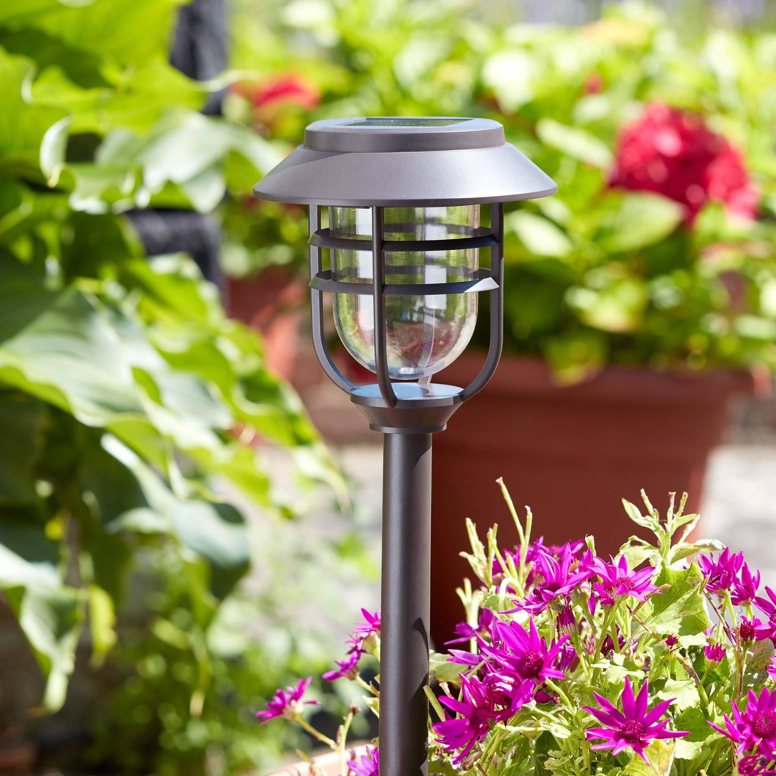 SMART GARDEN Solárne LED svetlo s hrotom do zeme Avant, 5 kusov, kov, plast, K: 43cm