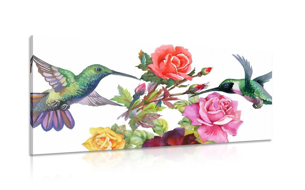 Obraz kolibríky s kvetmi - 120x60