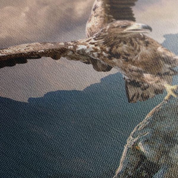 Obraz orol s roztiahnutými krídlami nad horami