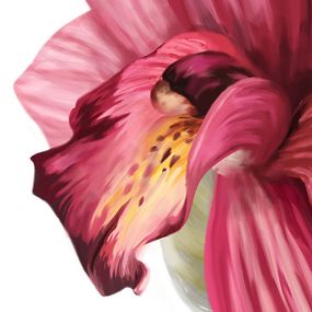 Fototapety do spálne Ružový kvet 18502 - latexová