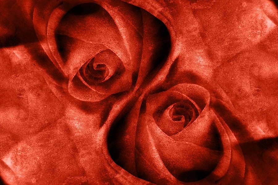 Obraz do obývačky Červené ruže zs4400
