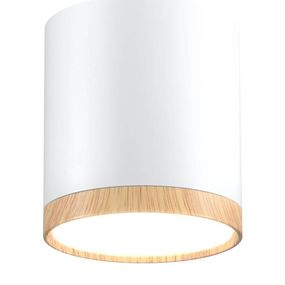 Stropné svetlo TUBA LED Candellux