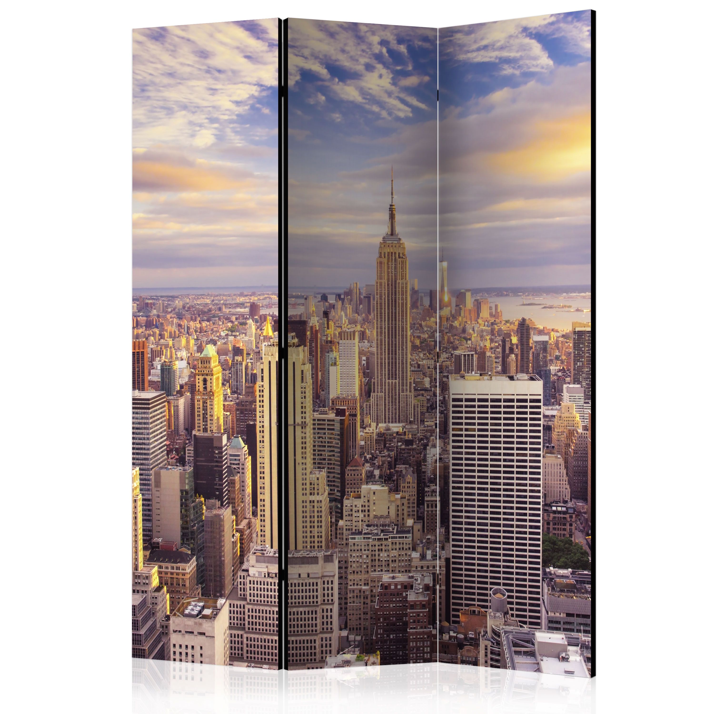 Artgeist Paraván - New York Morning [Room Dividers]