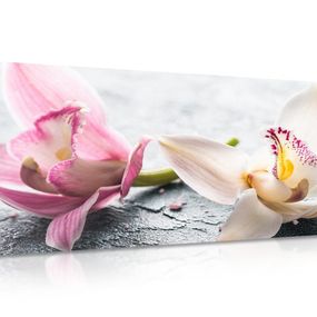 Obraz kvety orchidey - 120x60