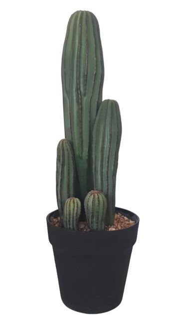 Okrasný kaktus v kvetináči - Ø15 * 43cm
