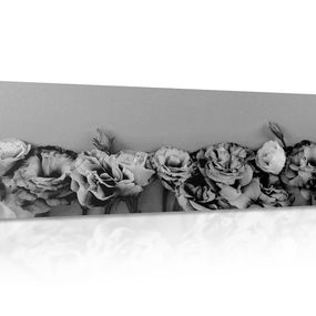 Obraz kvitnúce kvety v čiernobielom prevedení