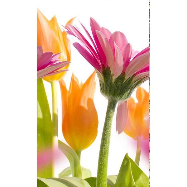 MS-2-0142 Vliesová obrazová fototapeta Spring Flowers, veľkosť 150 x 250 cm