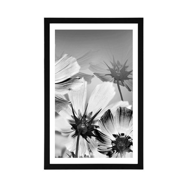 Plagát s paspartou záhradné kvety v čiernobielom prevedení - 40x60 white