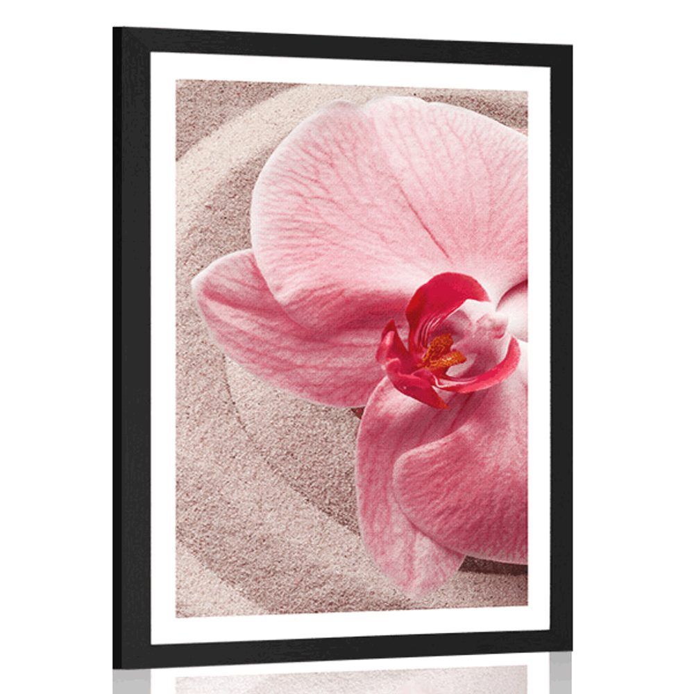 Plagát s paspartou morský piesok a ružová orchidea - 20x30 black