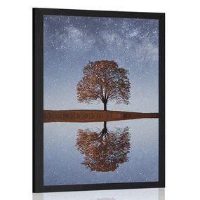 Plagát hviezdna obloha nad osamelým stromom - 30x45 black