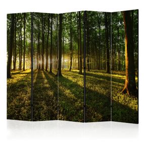 Artgeist Paraván - Morning in the Forest II [Room Dividers]