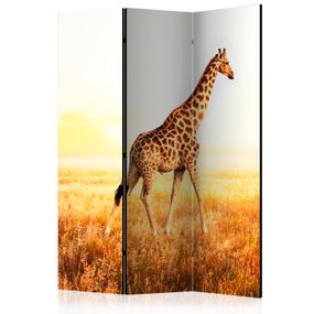 Artgeist Paraván - giraffe - walk [Room Dividers]