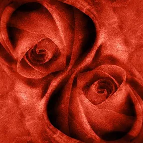 Obraz do obývačky Červené ruže zs4400