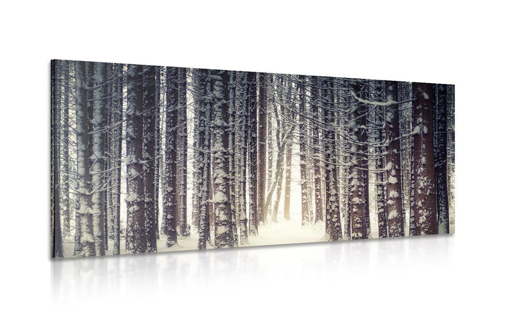 Obraz les zahalený snehom - 120x60