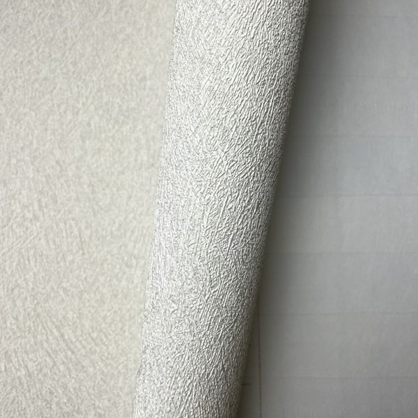 418620 Rasch umývateľná vliesová tapeta na stenu s veľmi odolným vinylovým povrchom z kolekcie Club (2023), veľkosť 10,05 m x 53 cm
