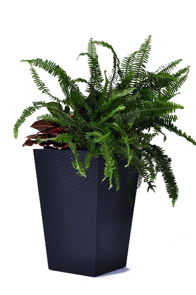 Rojaplast Rattan planter M - grafit