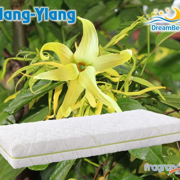 Matrac Ylang z pamäťovej peny DreamBed - 90x200cm