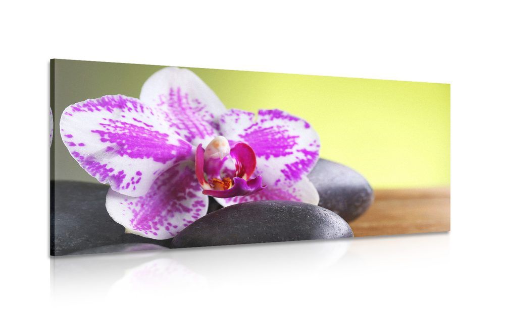Obraz orchidea a čierne kamene - 120x60