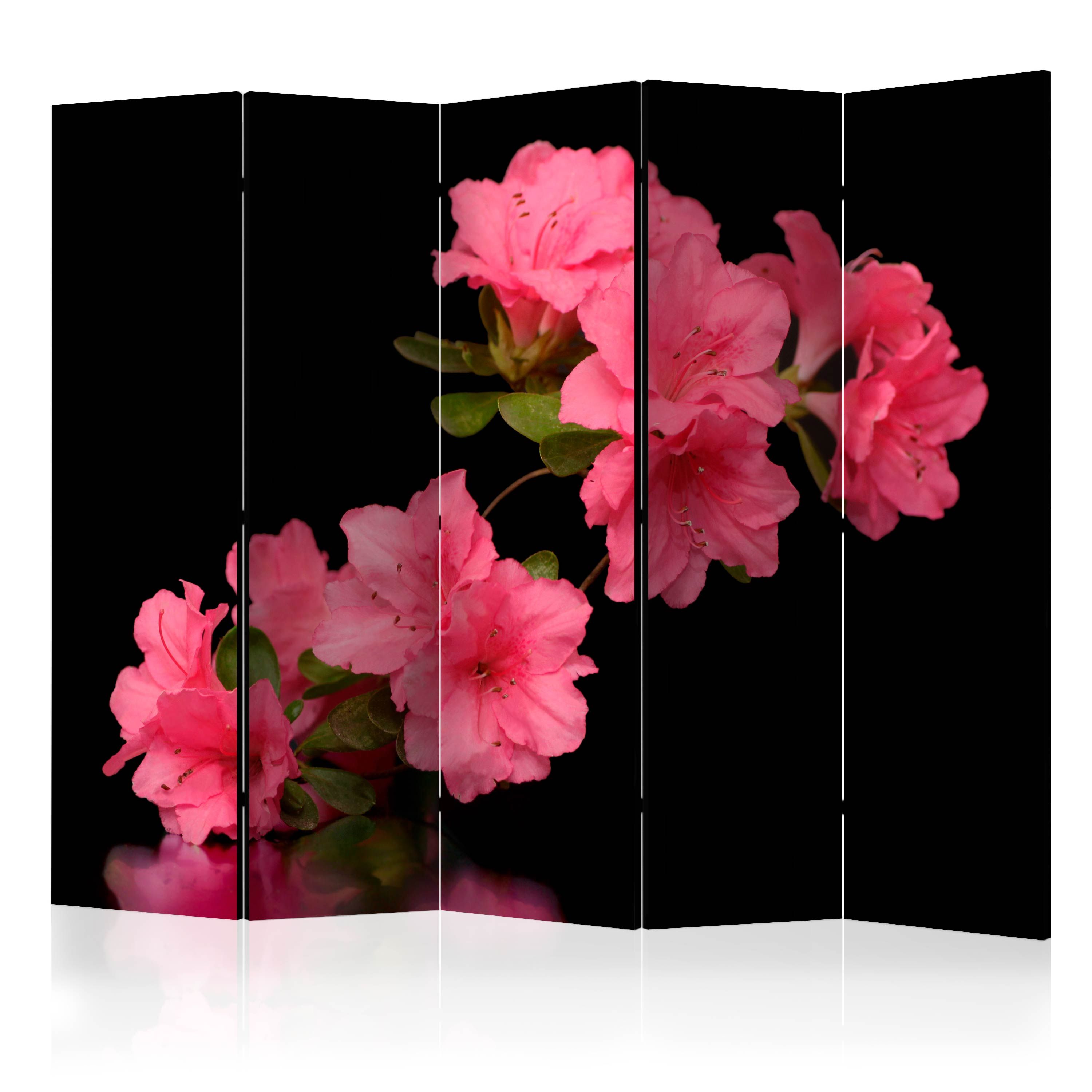 Artgeist Paraván - Azalea in Black [Room Dividers]