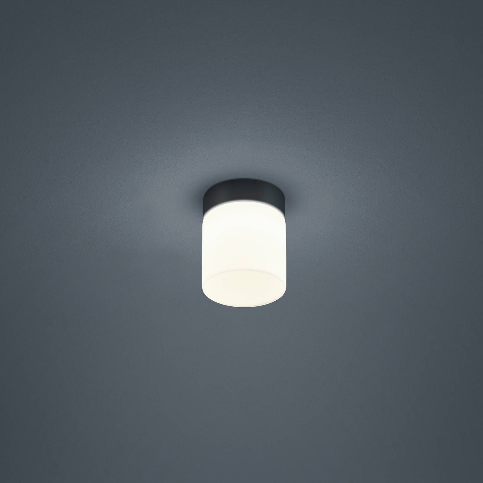 Helestra Keto stropné LED svetlo, valec, čierna, Kúpeľňa, oceľ, satinované opálové sklo, 6W, K: 12.5cm