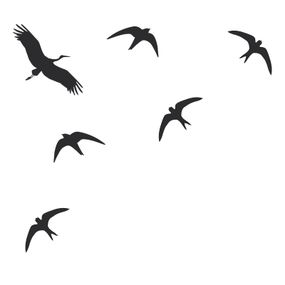 Pieris design Siluety vtákov - nálepky na okno studená zelená