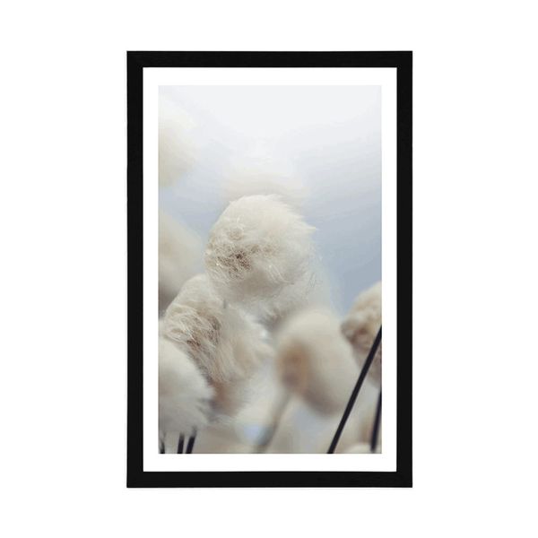 Plagát s paspartou arktické kvety bavlny - 60x90 black